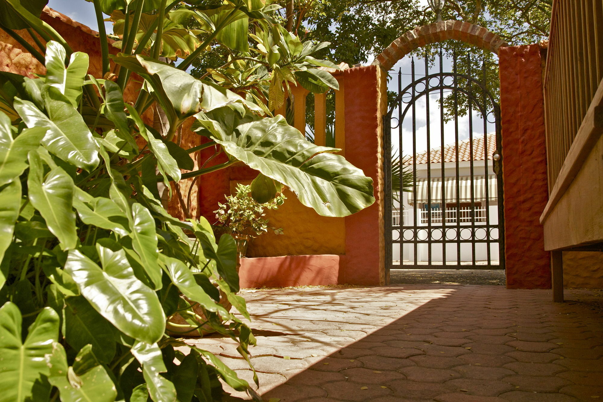 Flamboyant Garden Villas Oranjestad Exterior foto