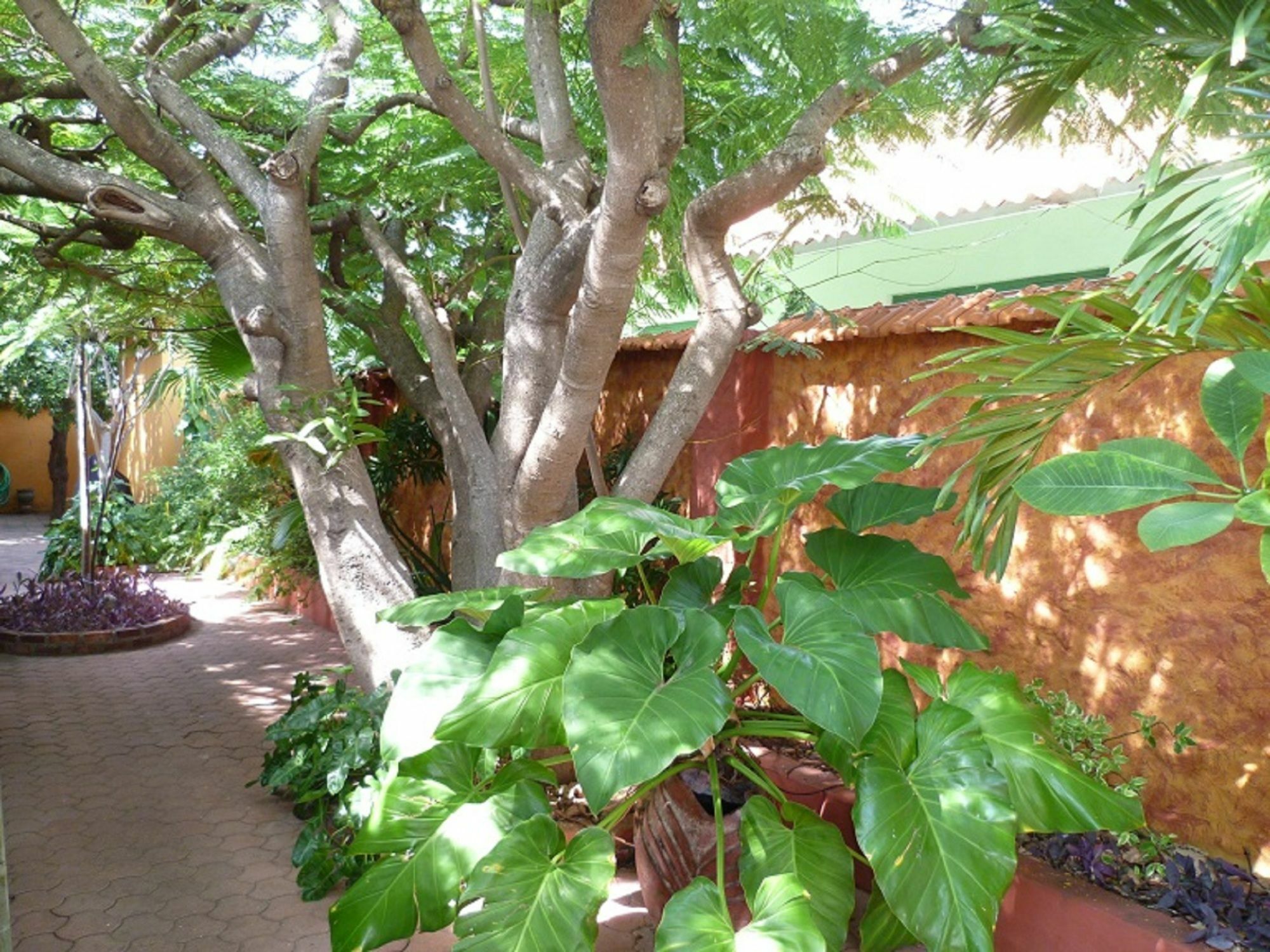 Flamboyant Garden Villas Oranjestad Exterior foto